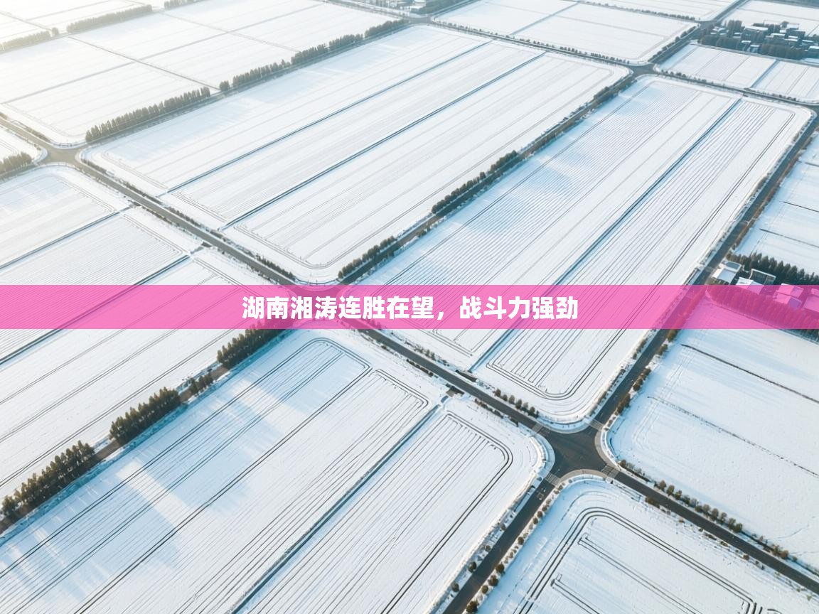 湖南湘涛连胜在望，战斗力强劲
