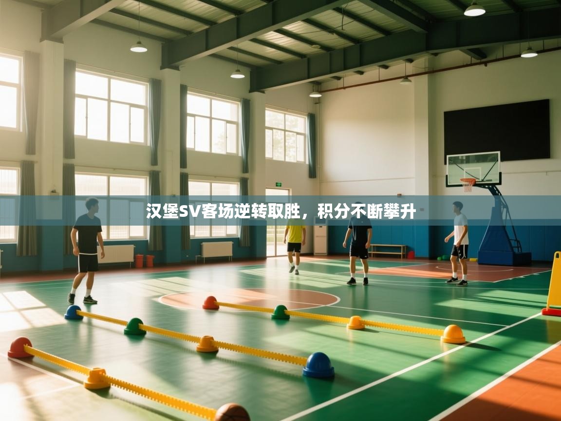 汉堡SV客场逆转取胜，积分不断攀升  第1张