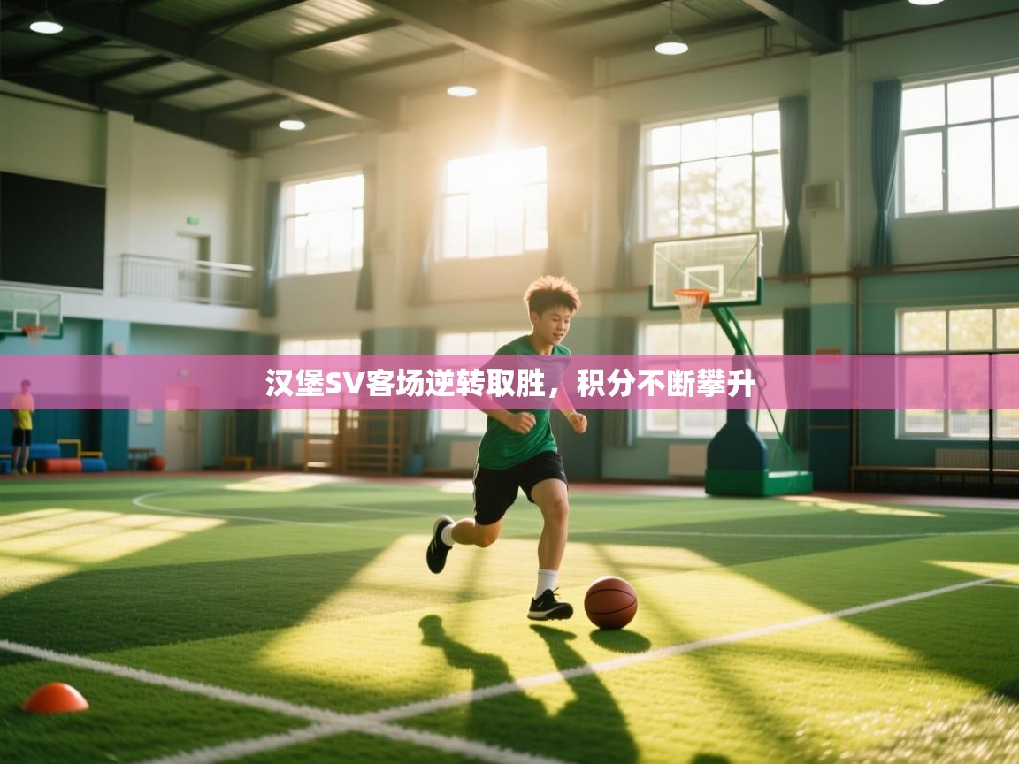 汉堡SV客场逆转取胜，积分不断攀升  第2张